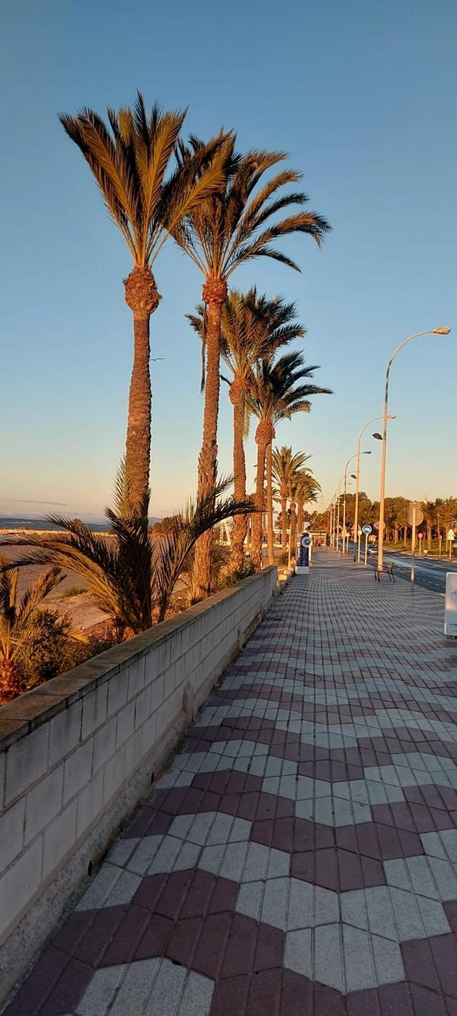 Ferienwohnung La Casita Del Tio Santa Pola Exterior foto